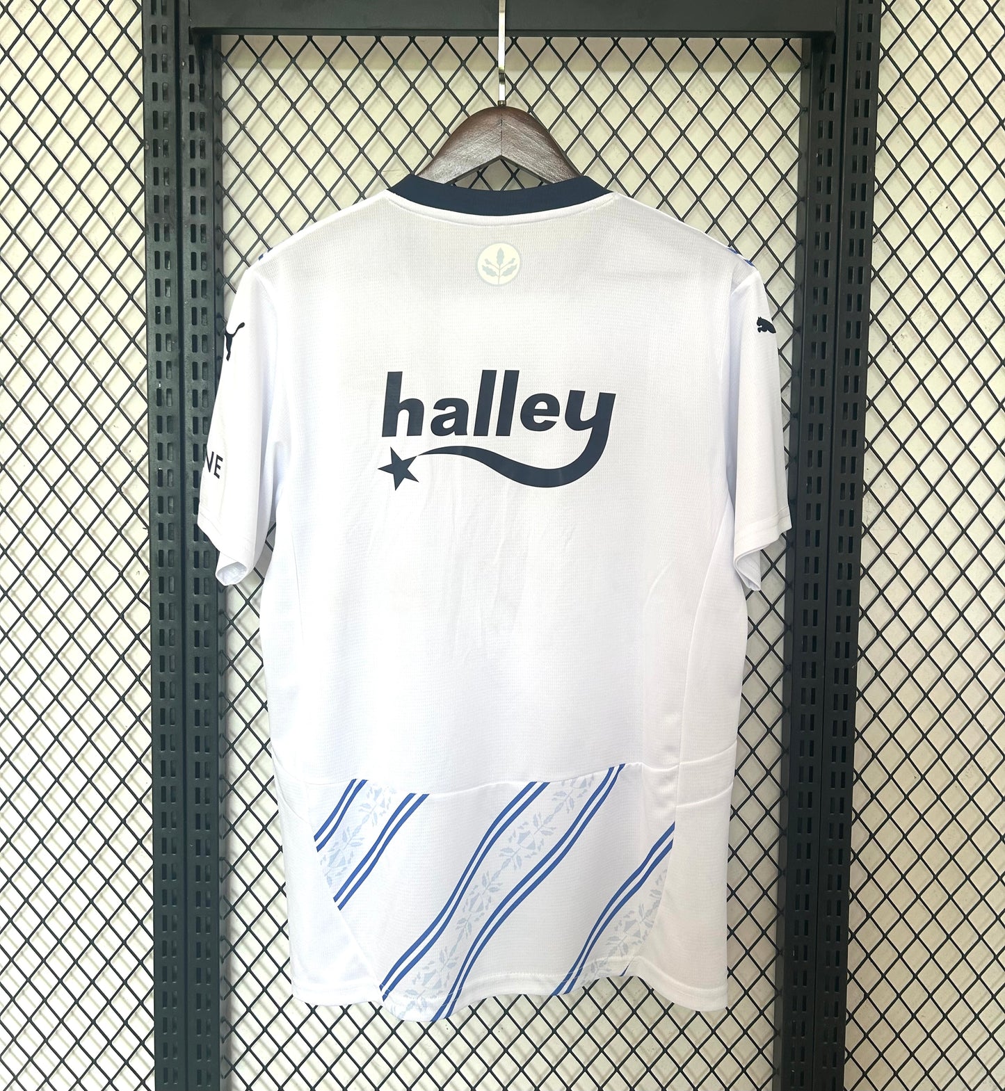 Maillot Exterieur Fenerbahçe 2024/25