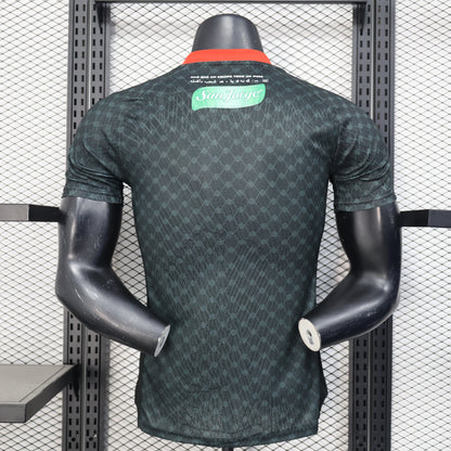 Maillot Palestine 2024/25 – Version Player