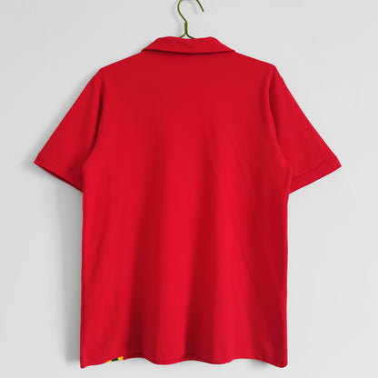 Maillot Pays De Galles Retro 1976/79